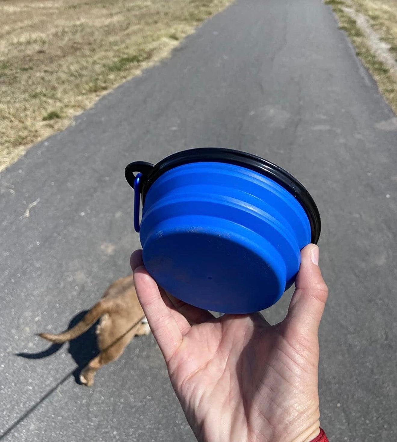 Foldable Silicone Bowl