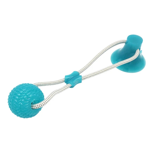 Suction Ball Interactive Dog Toy (Briz  favorite toy)