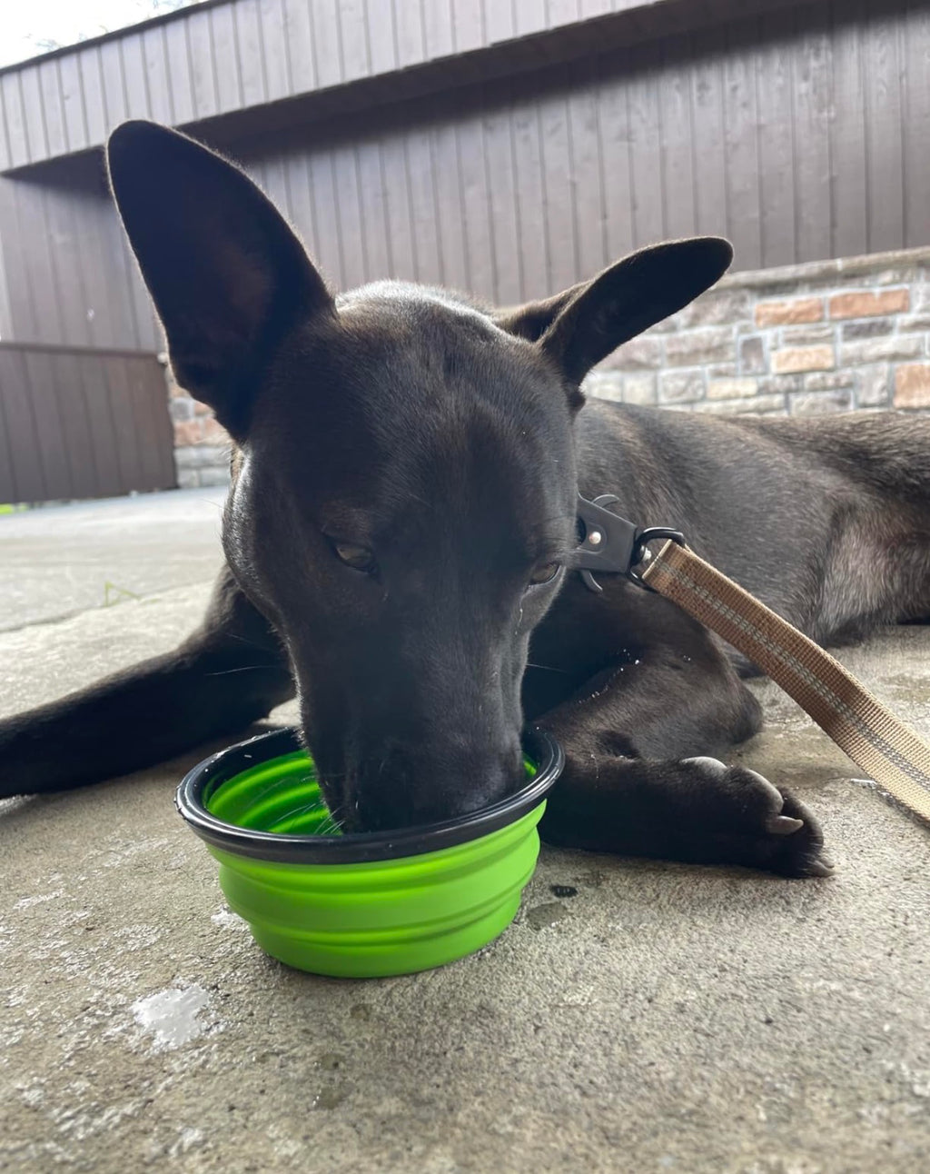 Foldable Silicone Bowl