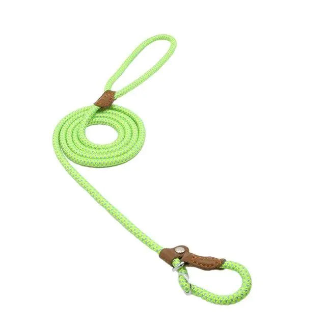 Training Leash