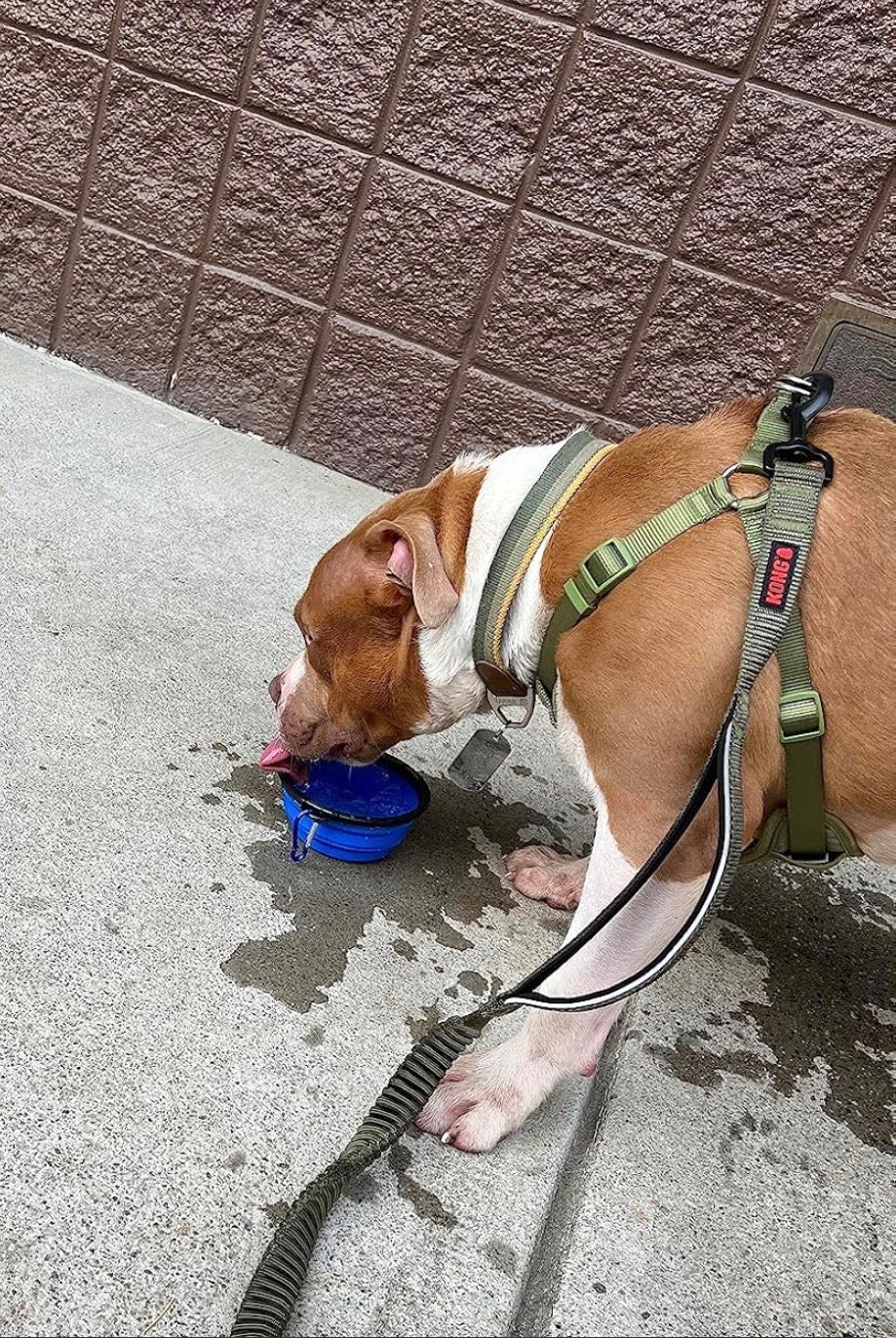 Foldable Silicone Bowl