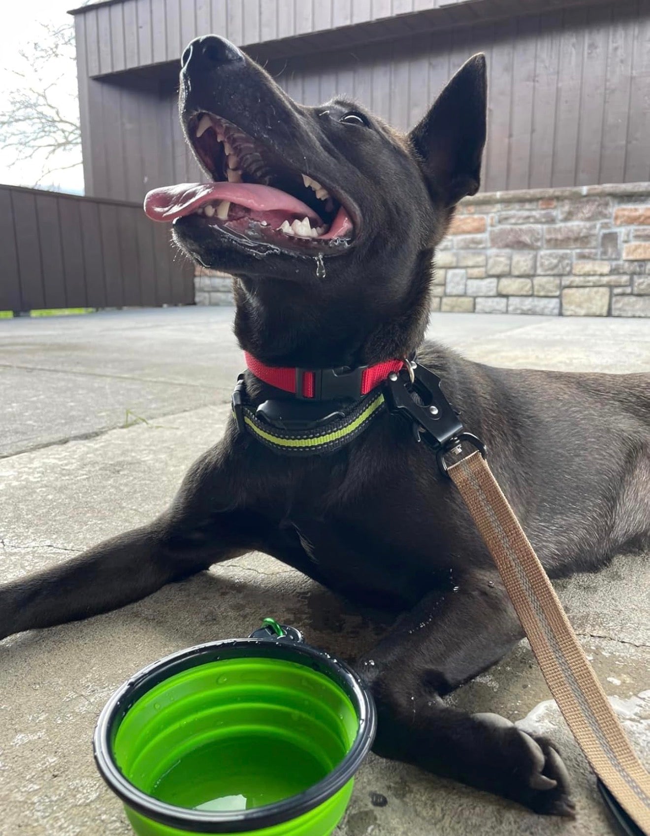 Foldable Silicone Bowl