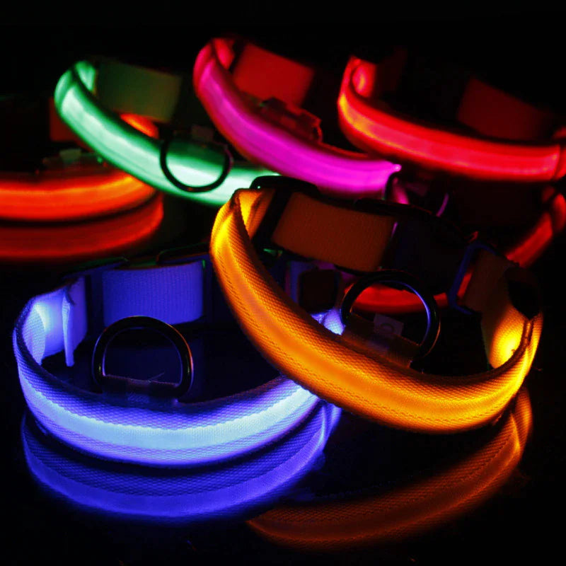 LED Dog Collar