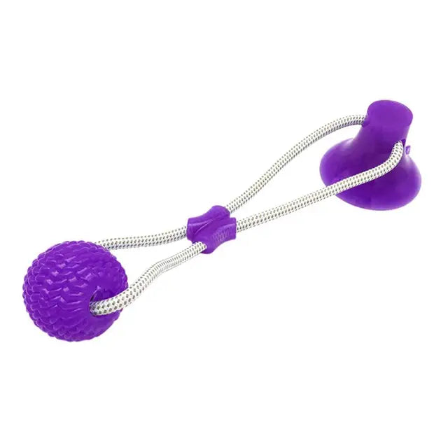 Suction Ball Interactive Dog Toy (Briz  favorite toy)
