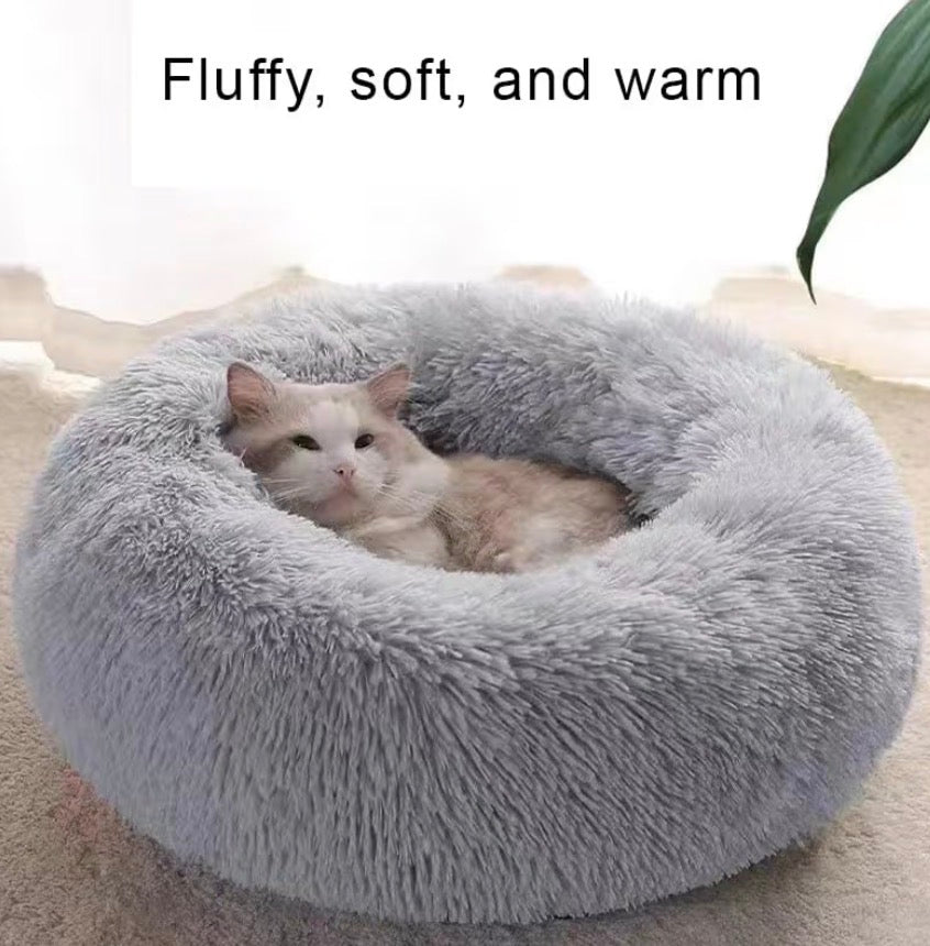 Small Dog Bed