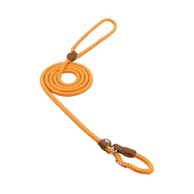 Training Leash