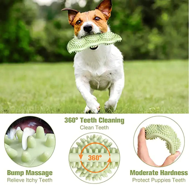 Pea shaped toy for small dogs