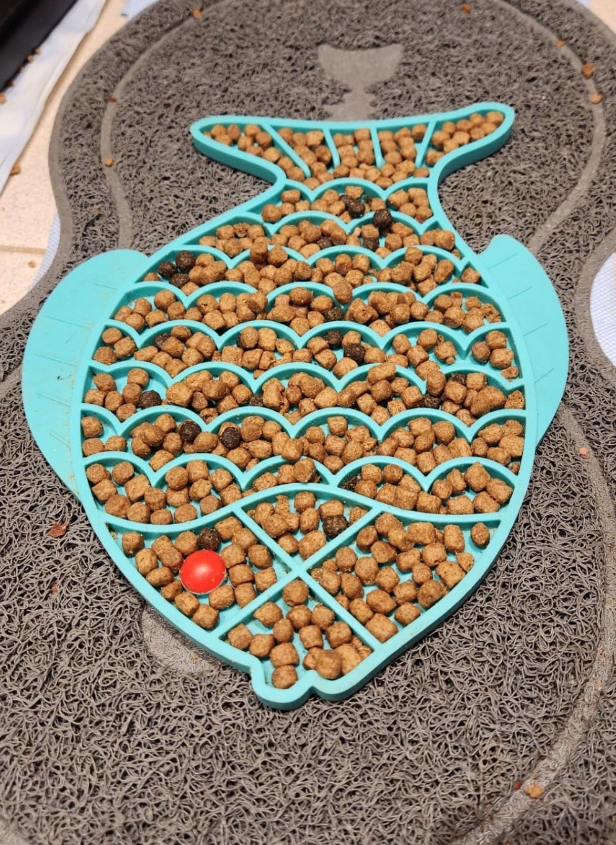 Slow Feeder Pet Dish