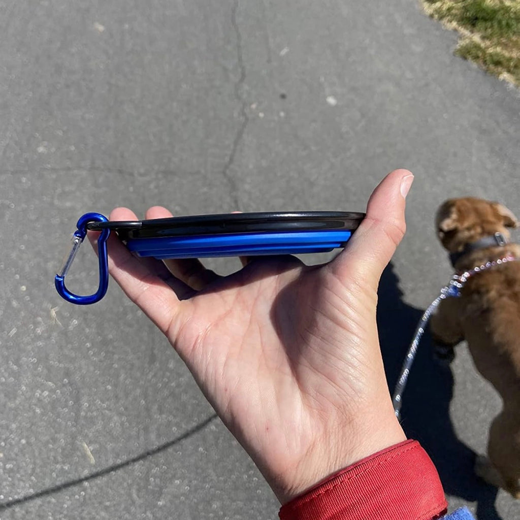 Foldable Silicone Bowl