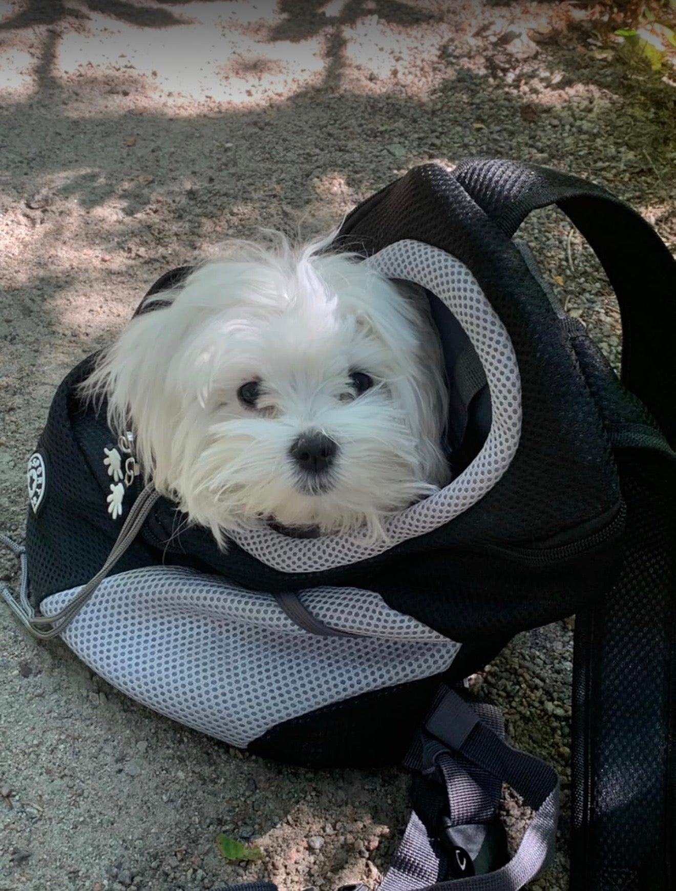 Pet Carrier Backpack