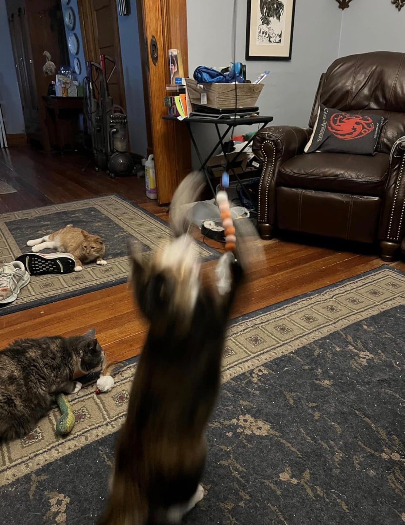 Cat Sucker Teaser Toy