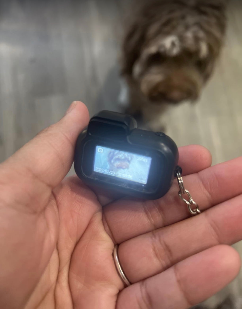 Mini 1080P HD Keychain Camera