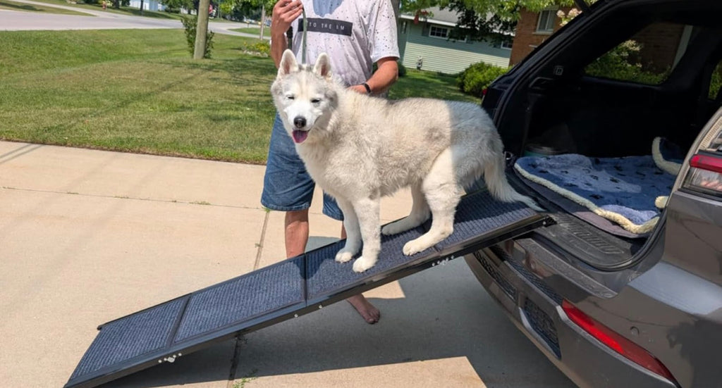 71" Dog Ramp