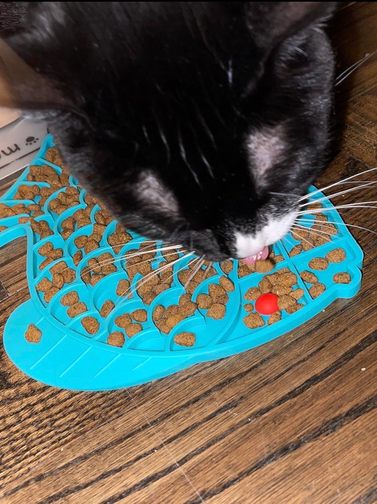 Slow Feeder Pet Dish