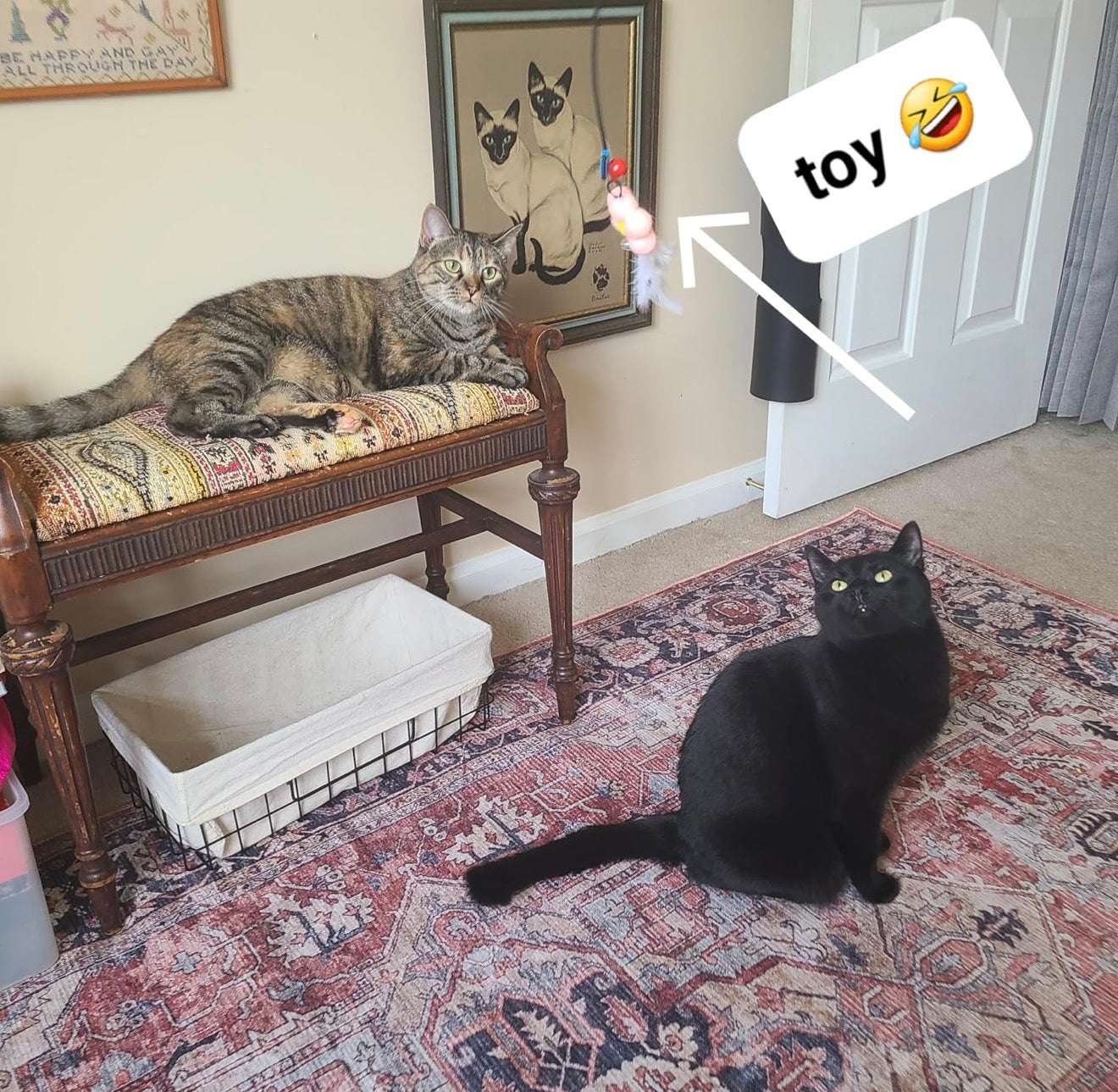 Cat Sucker Teaser Toy