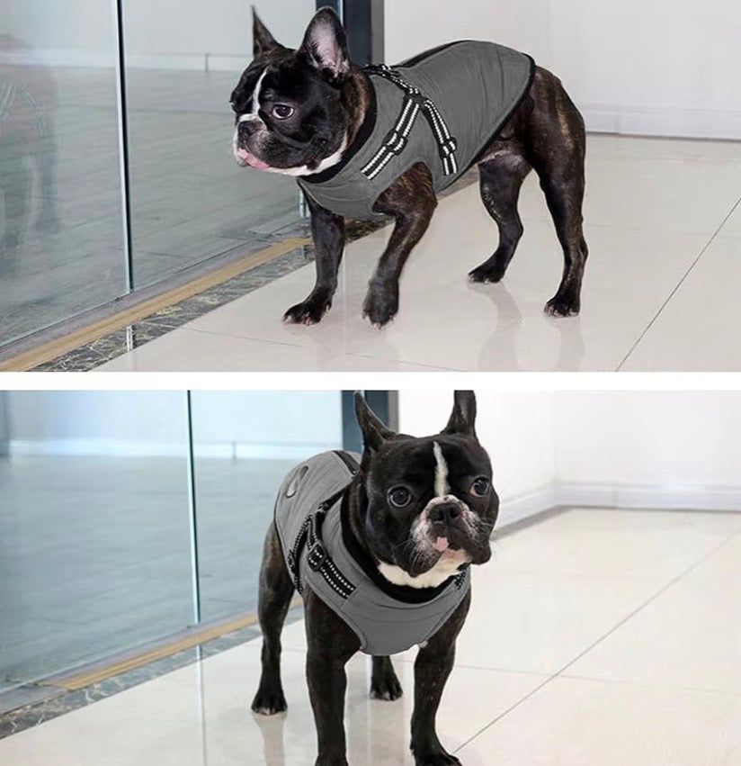 Dog Coat