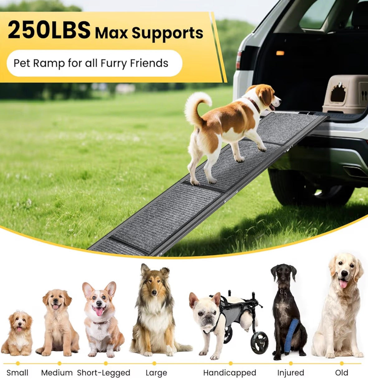 71" Dog Ramp
