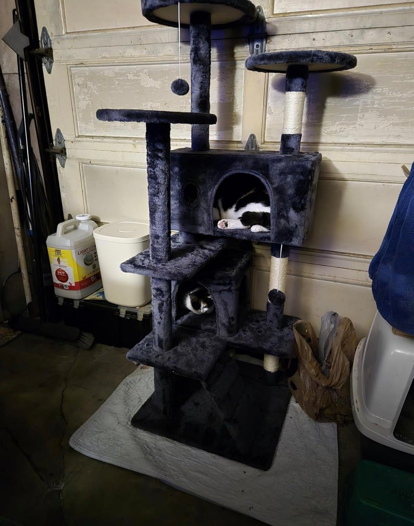 54in Cat Tree with Scratching Posts