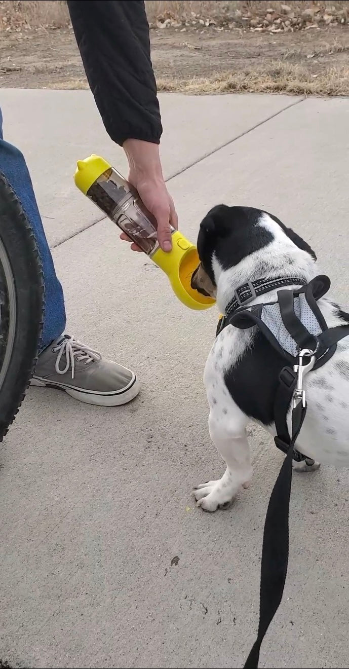 All-in-One Dog water and Snack bottle