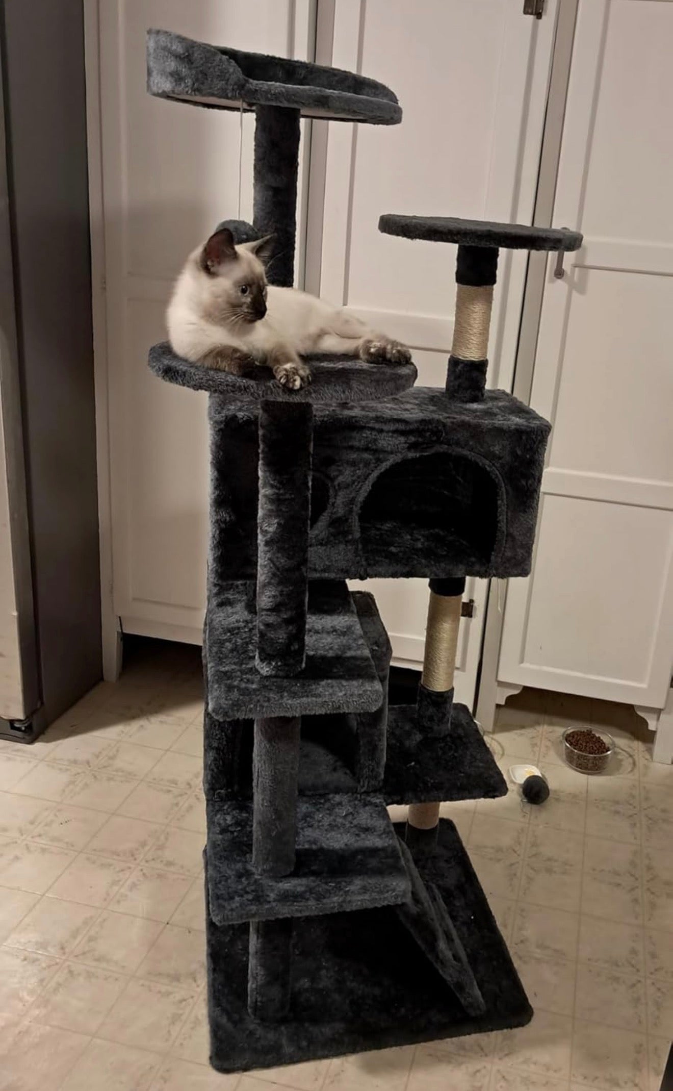 54in Cat Tree with Scratching Posts