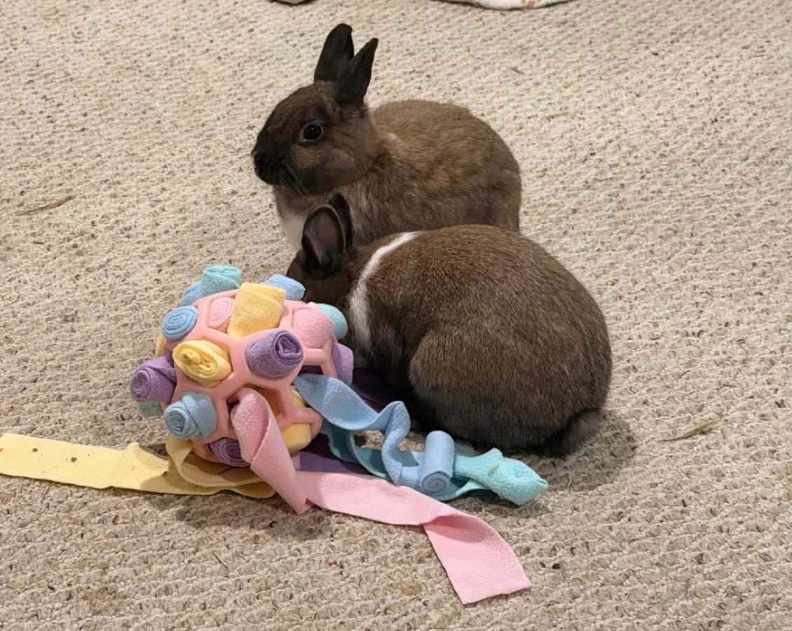 Pet Sniff Puzzle Ball