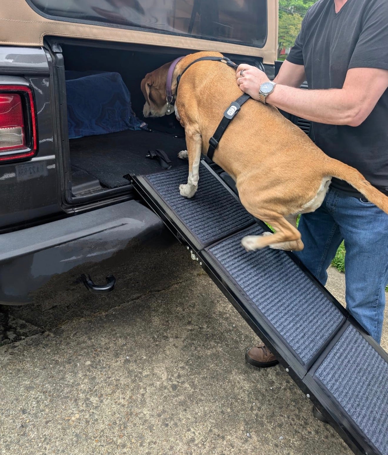 71" Dog Ramp