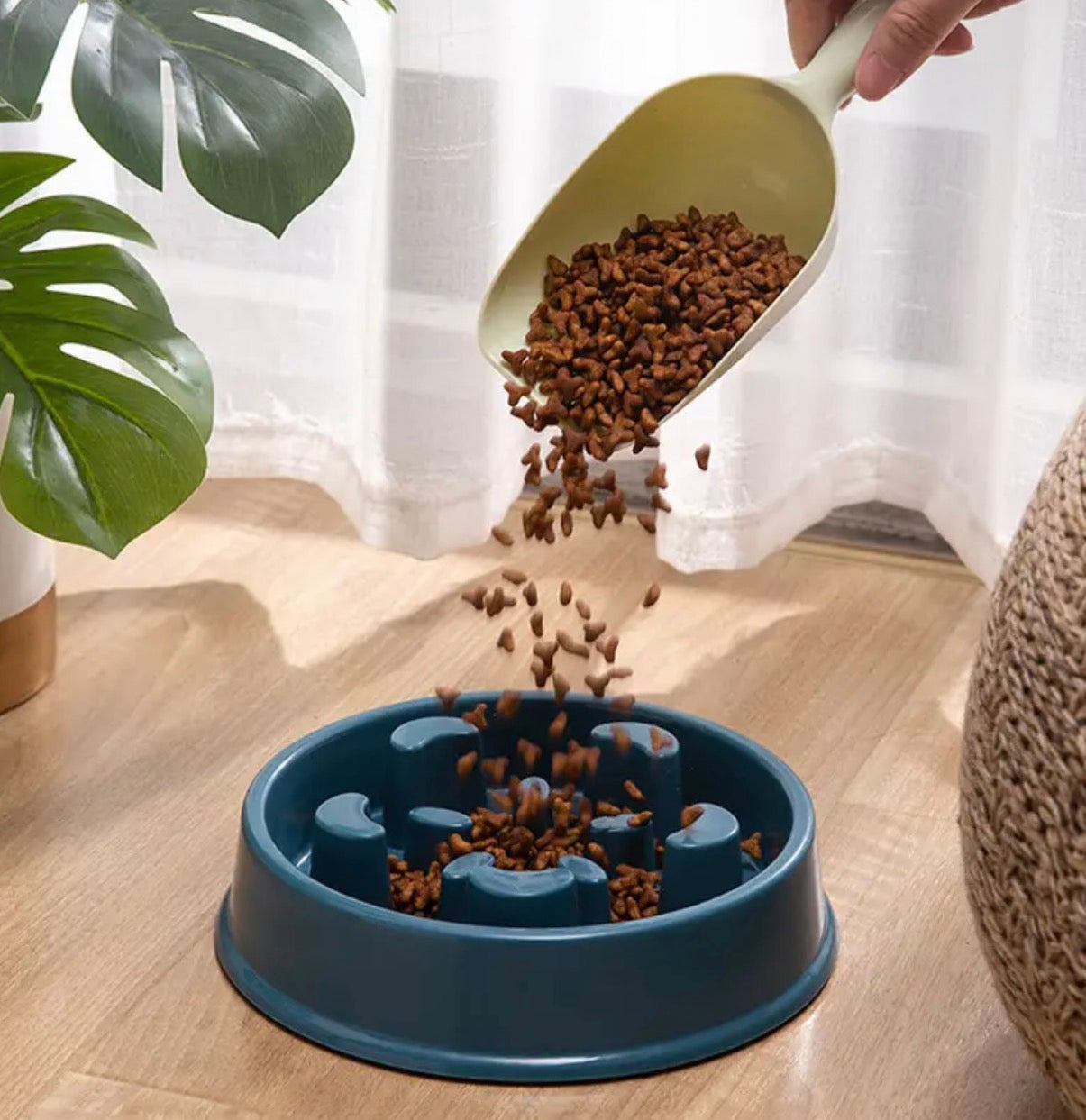 Slow Feed Dog Bowl - Anti-Slip