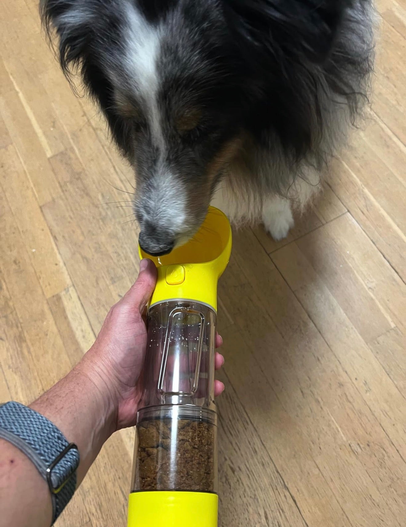 All-in-One Dog water and Snack bottle
