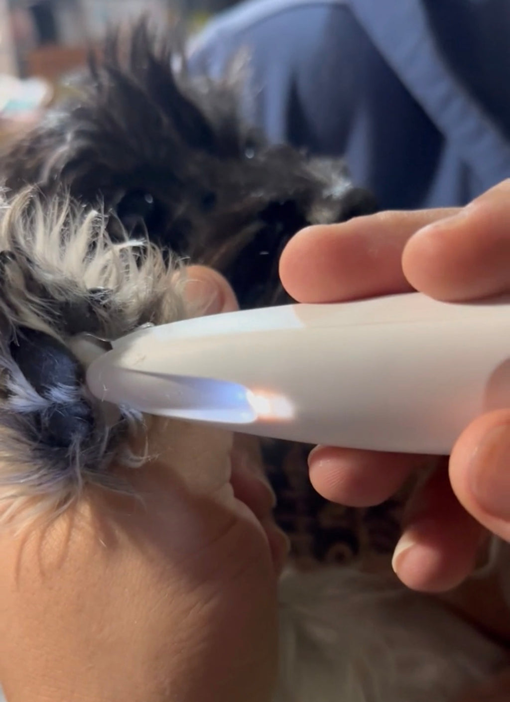 Pets Paw Trimmer and LED nail clipper