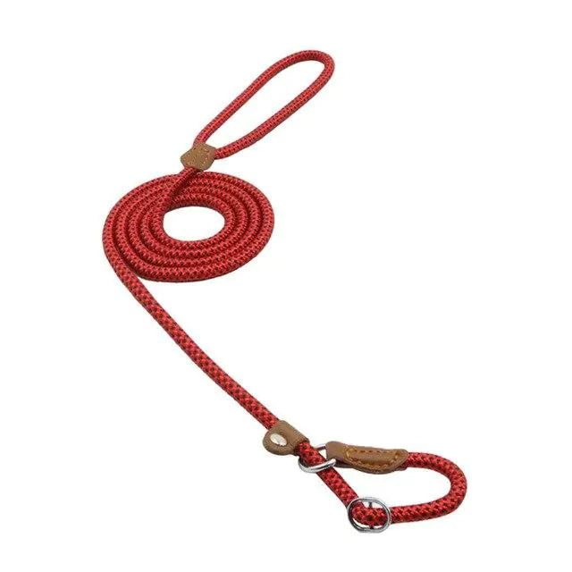 Training Leash