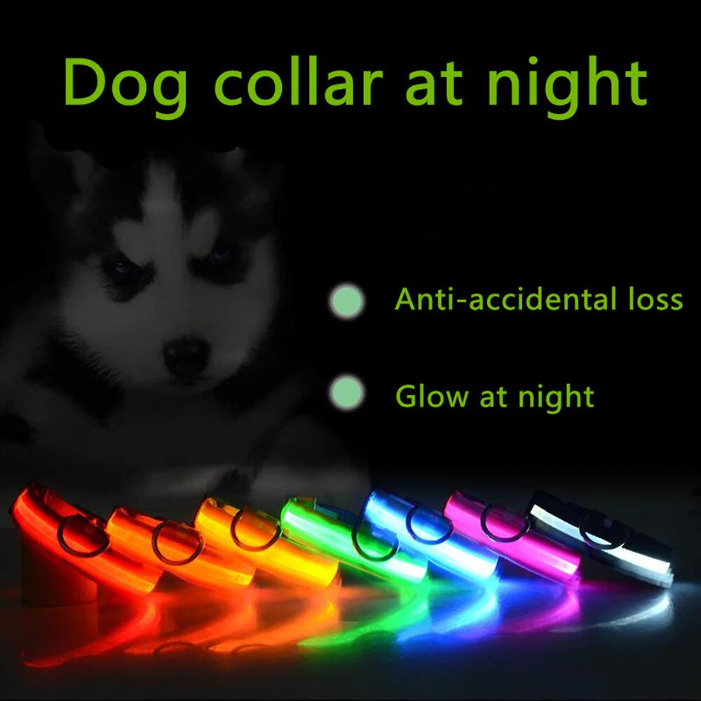 LED Dog Collar
