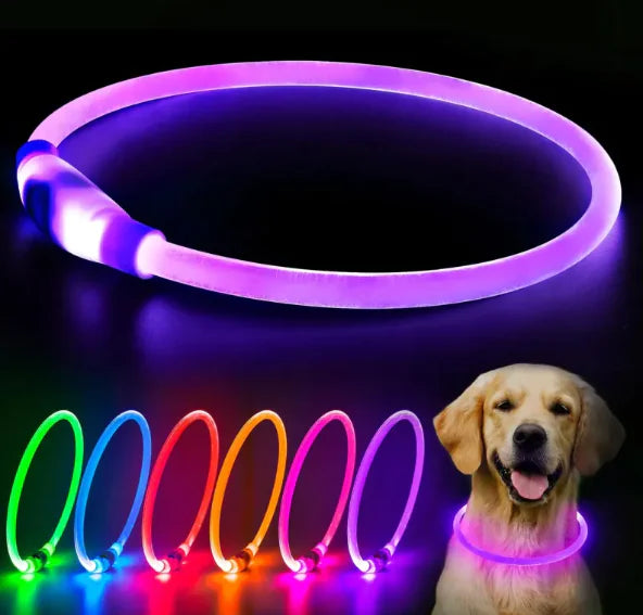 LED Dog Collar