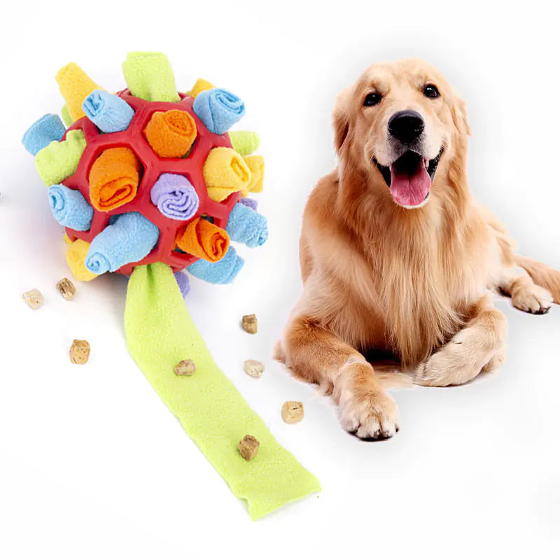 Pet Sniff Puzzle Ball