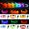 LED Dog Collar