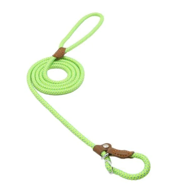 Training Leash