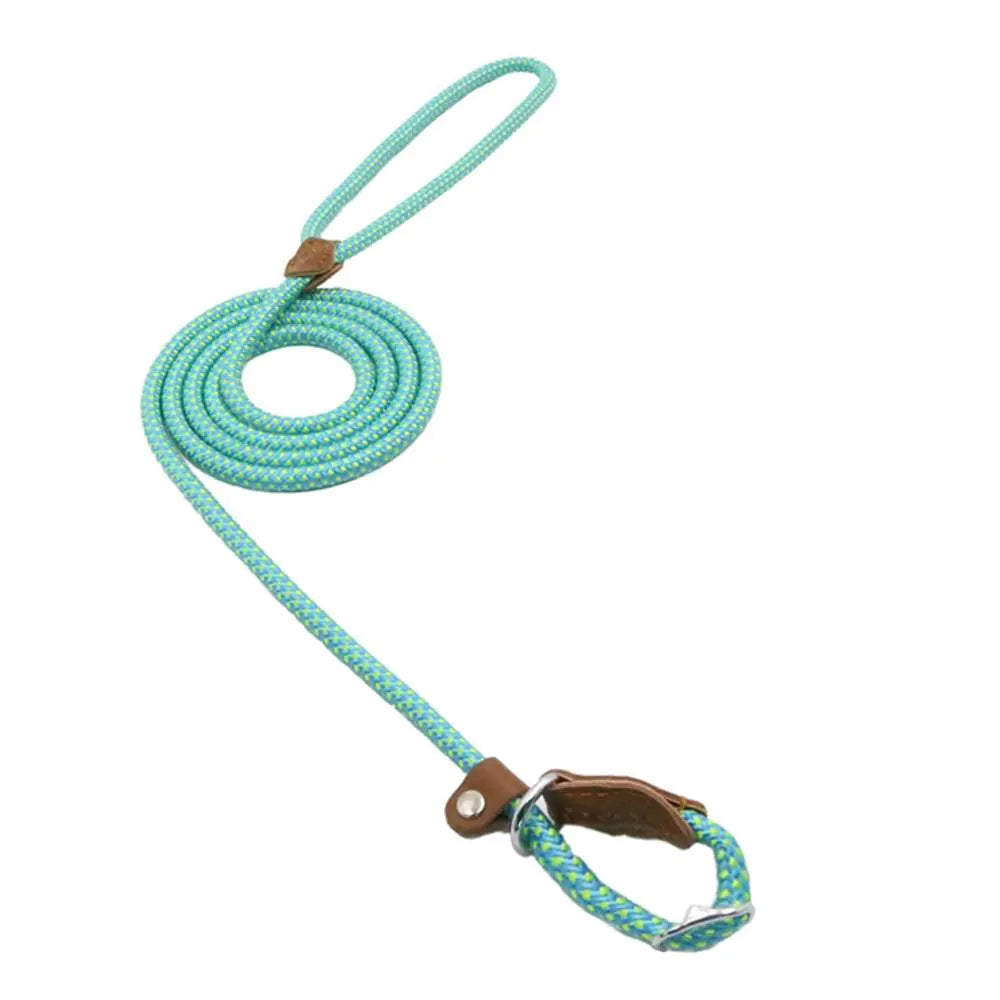 Training Leash