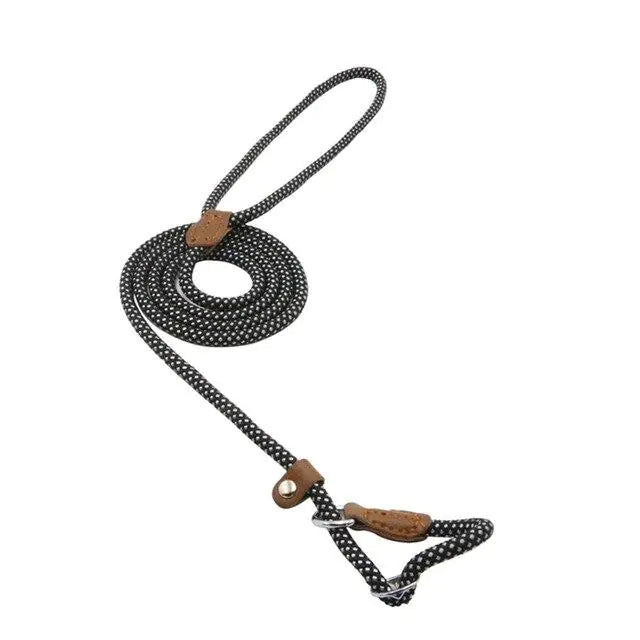 Training Leash