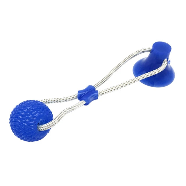 Suction Ball Interactive Dog Toy (Briz  favorite toy)