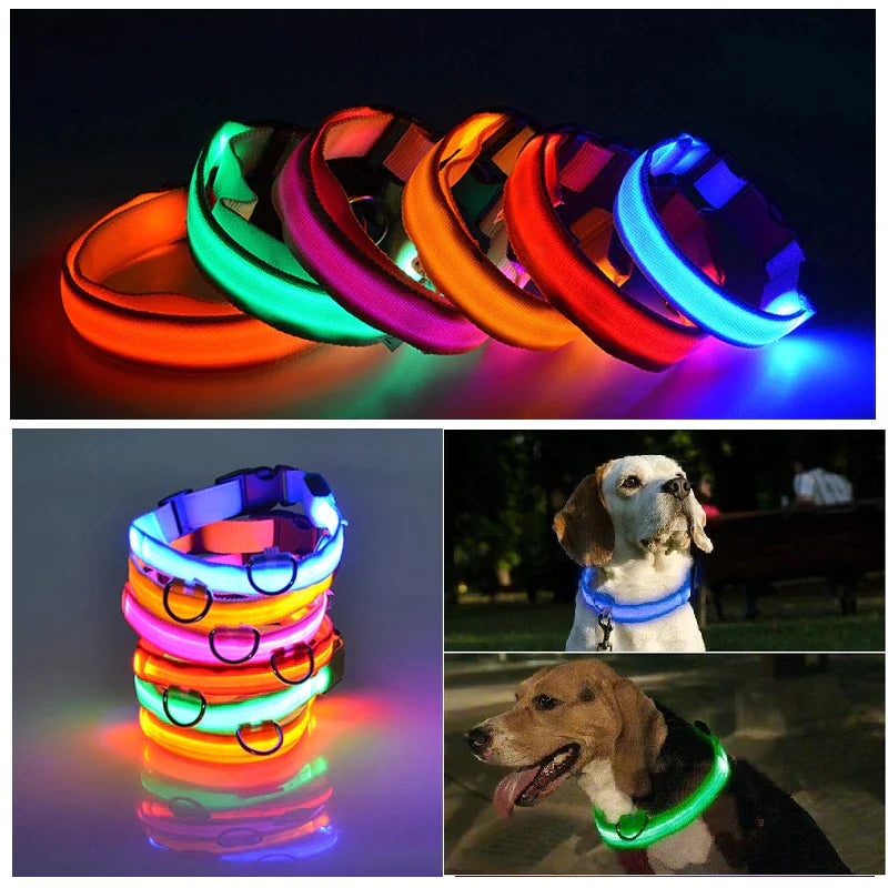 LED Dog Collar
