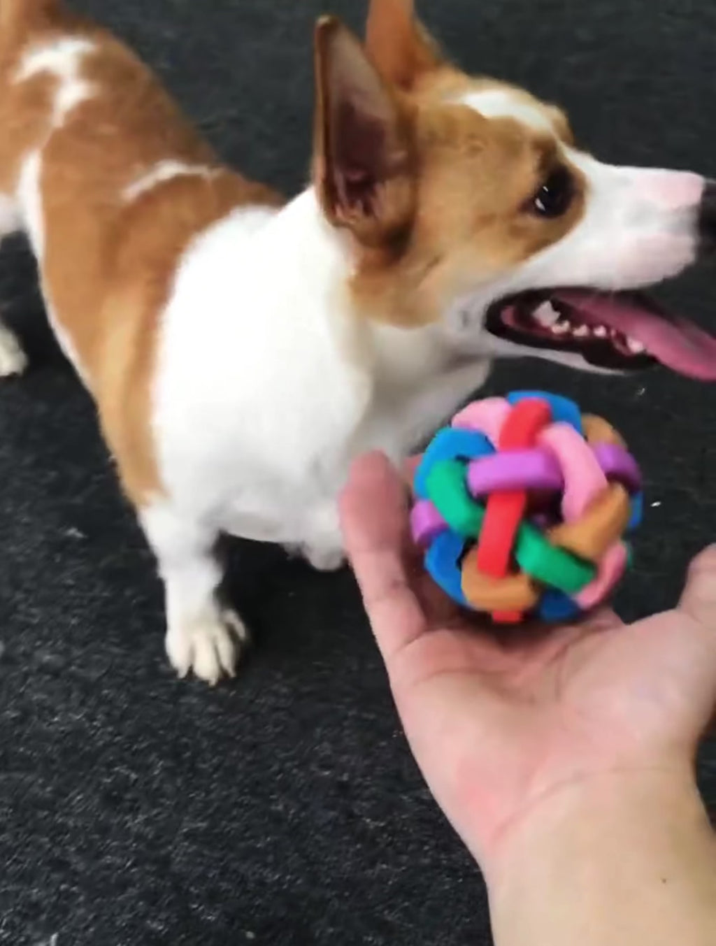 Bite Resistant Ball Toy