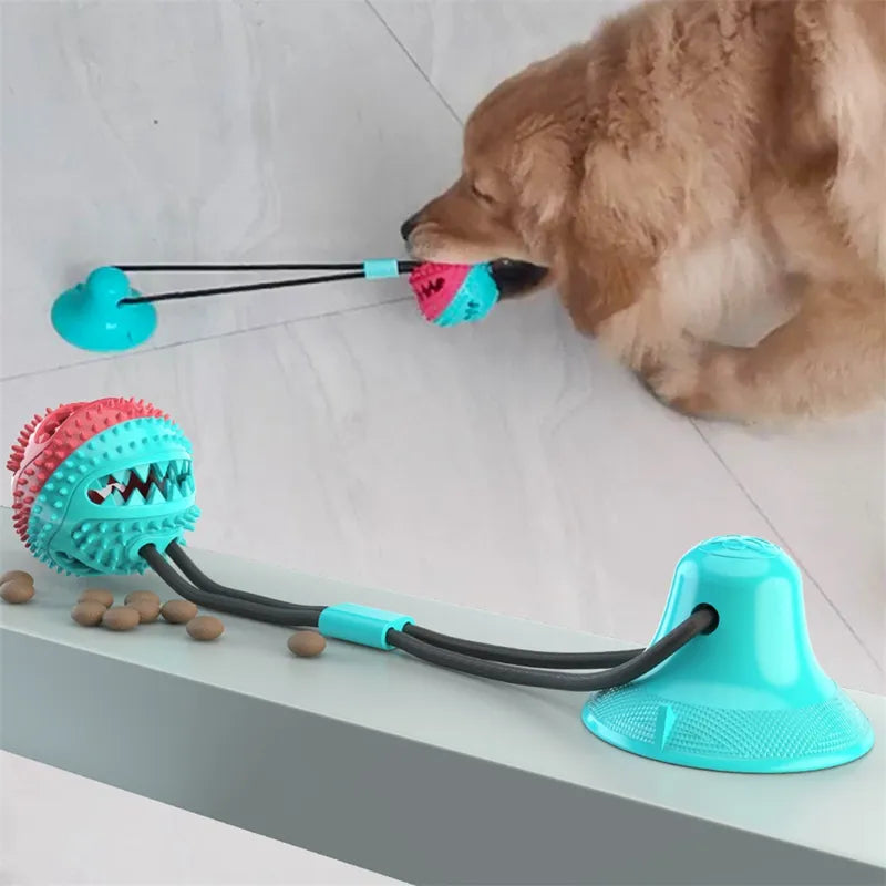 Suction Ball Interactive Dog Toy (Briz  favorite toy)